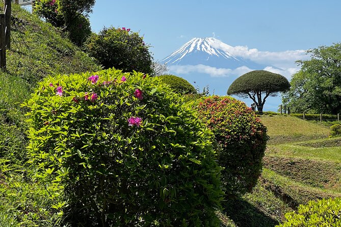 Hike Japan Heritage Hakone Hachiri with certified mountain guide - What the $158.52 price really covers
