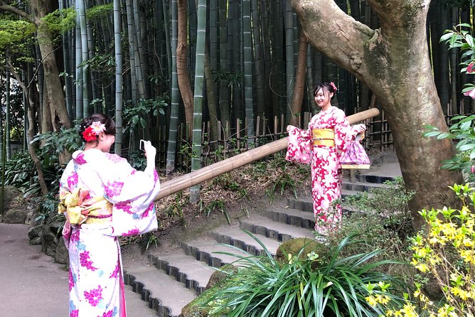 Historic Kamakura: Temples, Shrines and Street Food Private Walking Tour - Hokoku-ji, bamboo and a cup of green tea