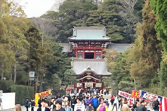 Historic Kamakura: Temples, Shrines and Street Food Private Walking Tour - Pace, walking, and the practical details