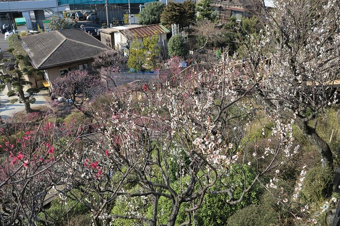 Historic Temple・traditional Japanese garden& Eating around at a shopping strip - The short train ride to Togoshi Ginza