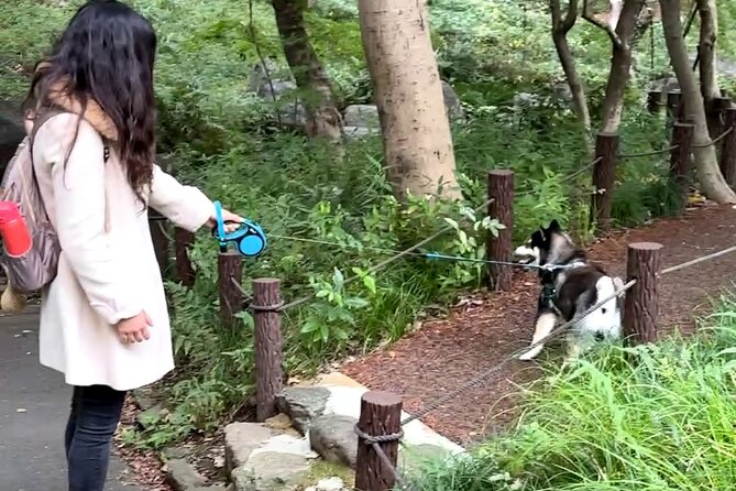 Home Cooking with a Local Host (Optional Shiba Inu Picnic) - Is $150 per person a fair price?