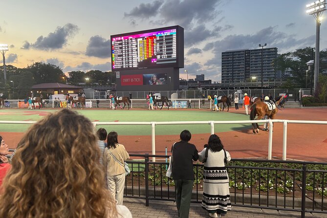 Horse Racing Tour with Local Fans in Tokyo, Oi Racecourse - Key points at a glance