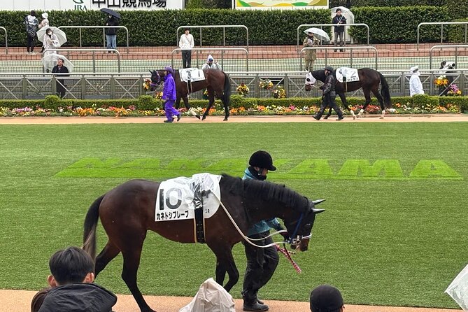 Horse Racing Tour with Local Fans in Tokyo, Oi Racecourse - A plain-language introduction to Japanese horse racing