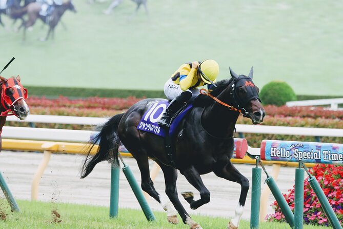 Horse Racing Tour with Local Fans in Tokyo, Oi Racecourse - Seats, Japanese food, beer, and premium drinks