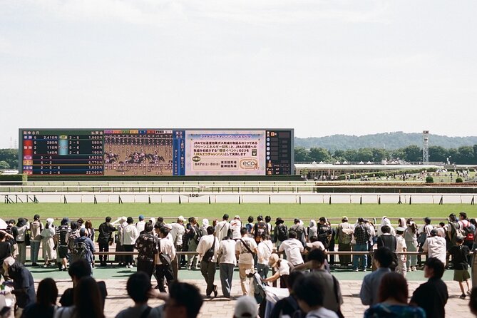 Horse Racing Tour with Local Fans in Tokyo Racecourse - Learning Japanese Horse Racing Without Japanese