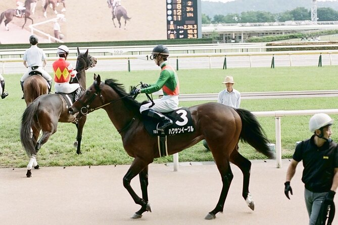 Horse Racing Tour with Local Fans in Tokyo Racecourse - Is the $100 Price Fair?