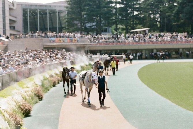 Horse Racing Tour with Local Fans in Tokyo Racecourse - Should You Book the Tokyo Racecourse Tour?