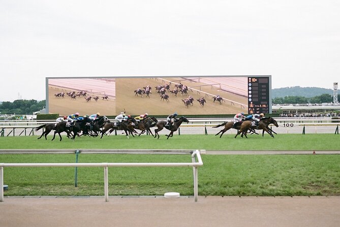 Horse Racing Tour with Local Fans in Tokyo Racecourse - The Paddock, the Horses, and the Main Event