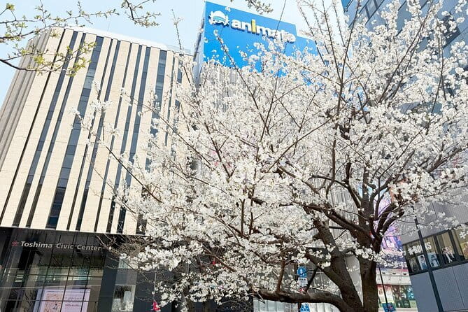 Ikebukuro Anime and Game Culture Experience Tour - Why Ikebukuro is such a good setting for this tour