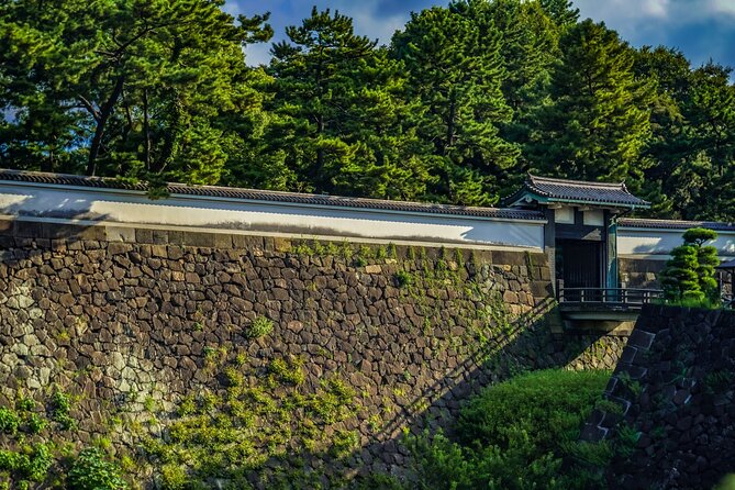 Imperial Palace East Garden and Edo Castle Walking Tour in Tokyo - How this compares with visiting alone