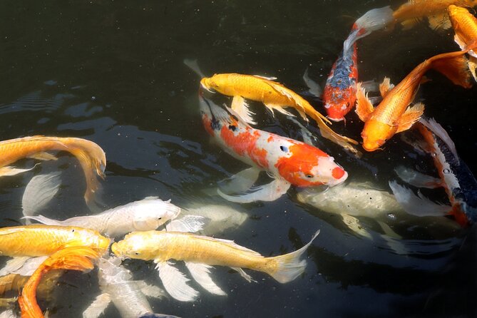 Imperial Palace East Garden and Edo Castle Walking Tour in Tokyo - Who will get the most from this walk