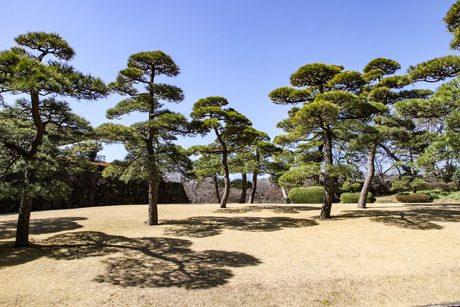 Imperial Palace to Tokyo Station Historical Walking Tour - Ninomaru Garden and Suwa-no-chaya