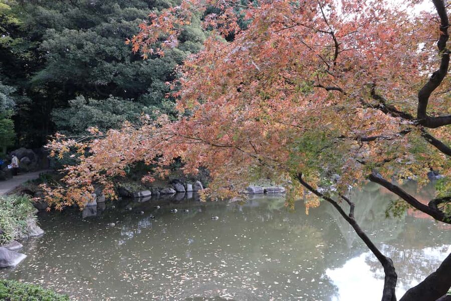 Imperial Palace Tour: Discover Samurai History with a Guide - Is $24 good value for 90 minutes?