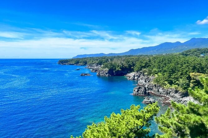 Izu Mount Omuro Day Tour: Atami Beach Line,Ropeway,Jogasaki Coast - Leaving Tokyo for the Atami coast