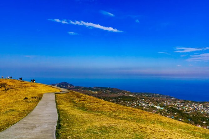 Izu Mount Omuro Day Tour: Atami Beach Line,Ropeway,Jogasaki Coast - A seaside pause at Ito Marine Town