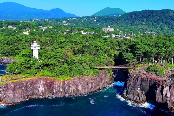 Izu Mount Omuro Day Tour: Atami Beach Line,Ropeway,Jogasaki Coast - The guide, language, and group setup