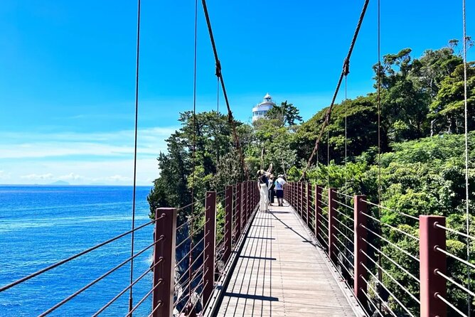 Izu Mount Omuro Day Tour: Atami Beach Line,Ropeway,Jogasaki Coast - Is $91.47 a fair price?