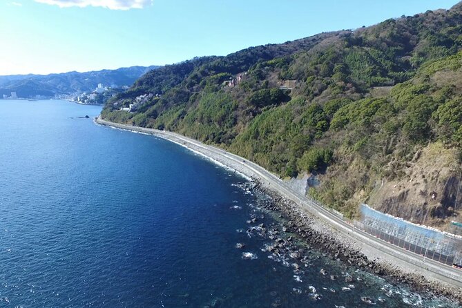 Izu Mount Omuro Day Tour: Atami Beach Line,Ropeway,Jogasaki Coast - Mount Omuro and the included ropeway ride