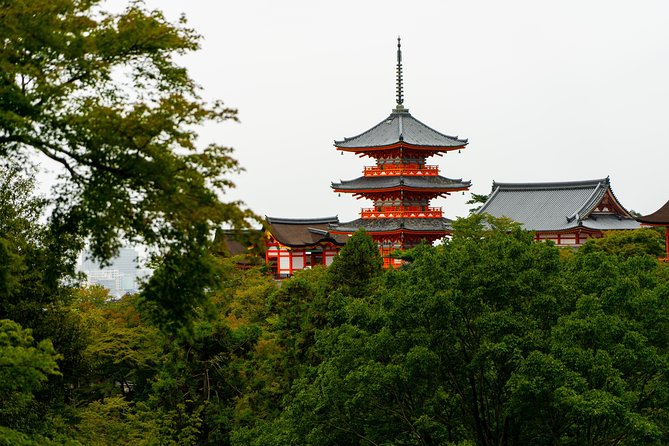 Japan Classic 10 Day - One Life Adventures - Golden Pavilion, Zen gardens, and a kendo lesson