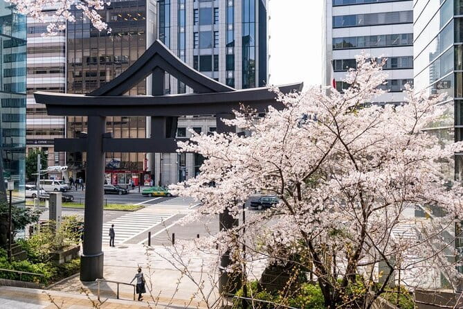 Japan's Best Mount Fuji Tour - Oishi Park and Lake Kawaguchi in spring