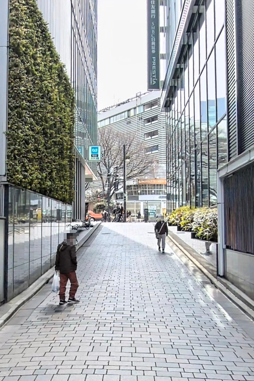 Kabukicho Macabre Tour - the Real Tokyo Vice - The shrine ending and the mood after the stories