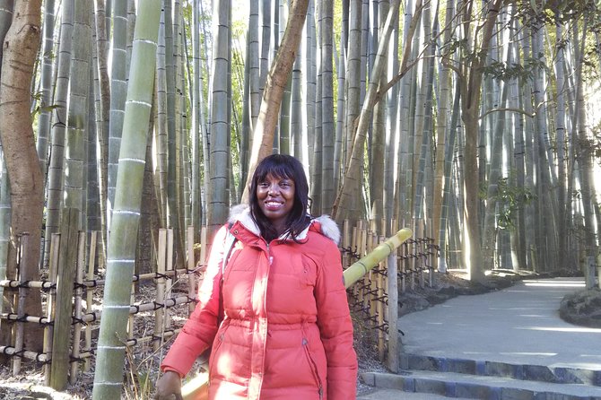 Kamakura 4hr Private Trip with Government-Licensed Guide - The Great Buddha at Kotoku-in