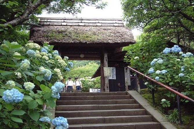 Kamakura 8 hr Private Walking Tour with Licensed Guide from Tokyo - Choosing the Hokoku-ji bamboo grove
