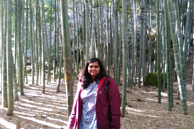 Kamakura 8 hr Private Walking Tour with Licensed Guide from Tokyo - The Zen temples around Kita-Kamakura