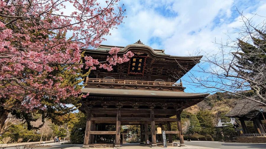 Kamakura: A Journey Through Medieval Japan - Shojin-ryori: a meal with a religious purpose