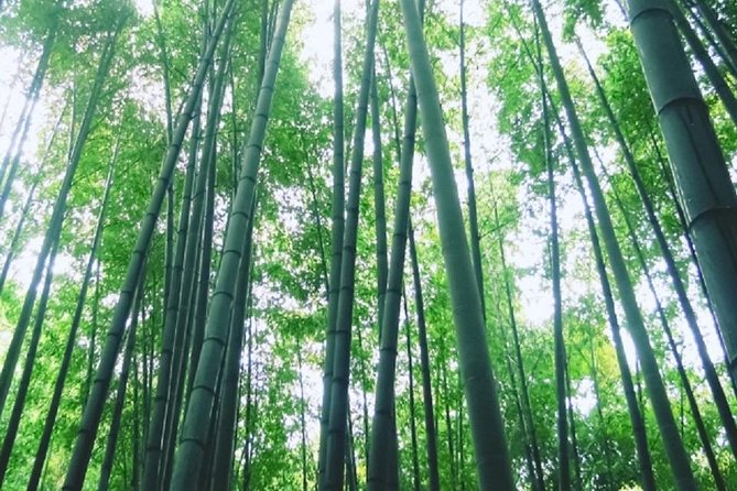 Kamakura Bamboo Forest and Great Buddha Private Tour - Komachi Street for a short food break