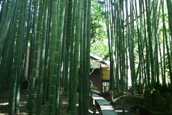 Kamakura Bamboo Forest and Great Buddha Private Tour - Public transportation and the pace of the day