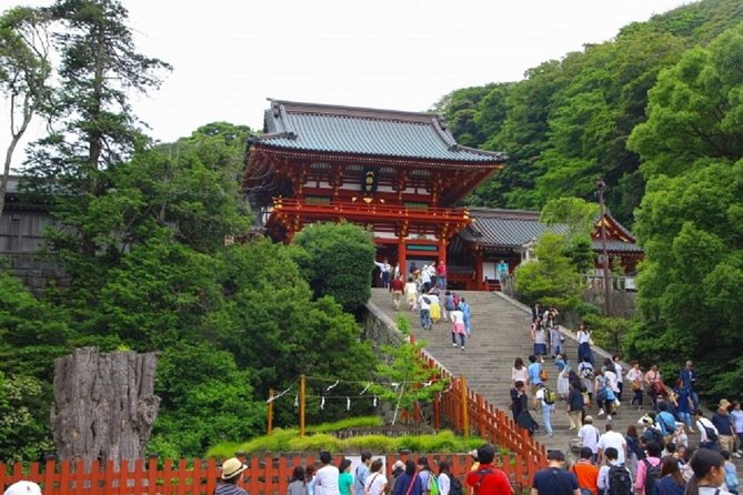 Kamakura Bamboo Forest and Great Buddha Private Tour - Guide quality and the value of a private group