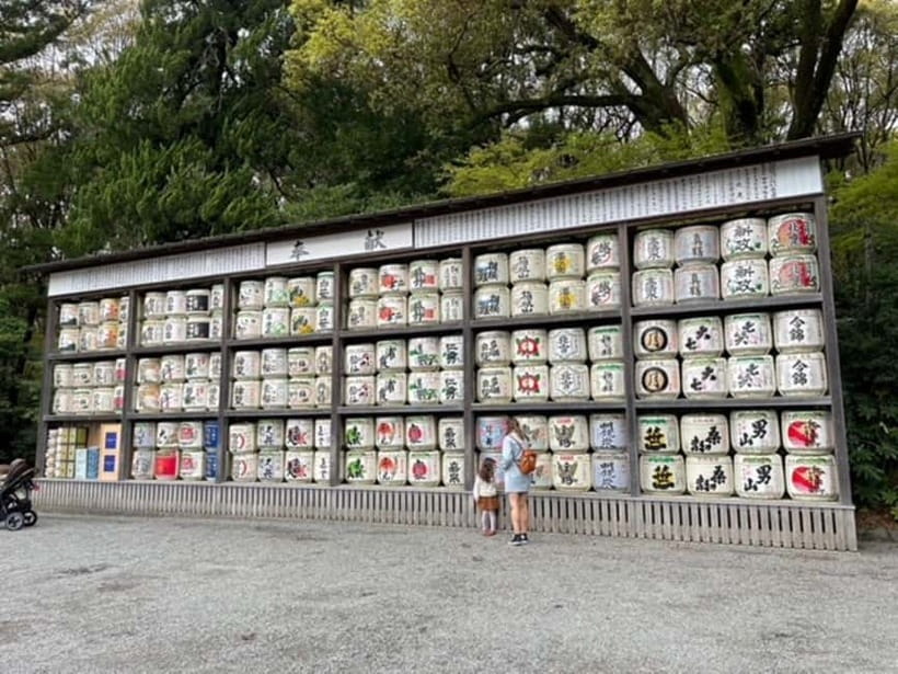 Kamakura; First Samurai Capital walking tour - Walking conditions, weather, and timing