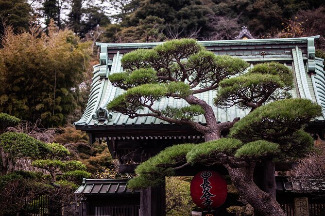 Kamakura Full-Day Private Tour from Tokyo (Customizable) - Why Kamakura makes a strong day trip from Tokyo