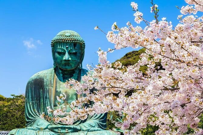 Kamakura Great Buddha and Enoshima with hotel Pickup small group - Key points at a glance