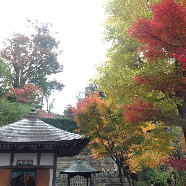 Kamakura: Great Buddha, Hase Temple, & Komachi Street Tour - Lunch with Kamakura flavors