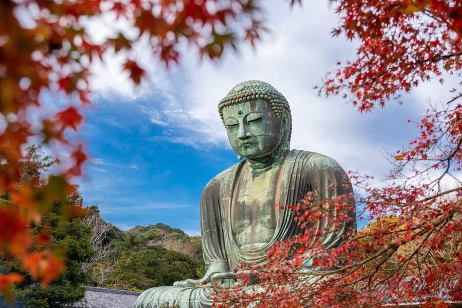 Kamakura Half Day Tour with a Local Expert Guide - Zen Temples, Gardens, and a Quieter Side of Town