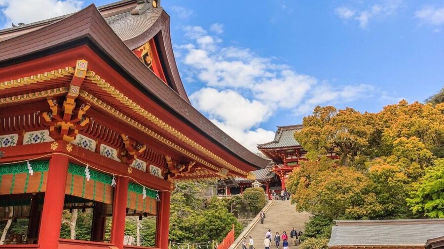 Kamakura Half Day Tour with a Local Expert Guide - The Great Buddha and the Limits of the Route
