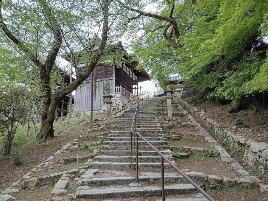 Kamakura Half Day Tour with a Local Expert Guide - What Local Guides Add, and Where They May Fall Short