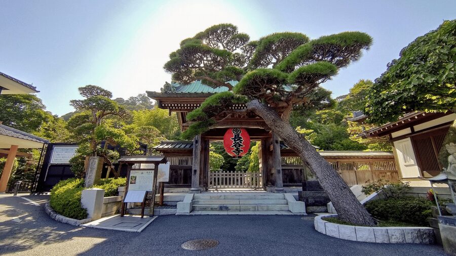 Kamakura Half Day Tour with a Local Expert Guide - Who Should Book This Kamakura Tour?