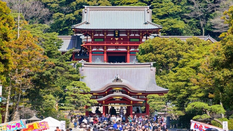 Kamakura Half Day Tour with a Local Expert Guide - Tsurugaoka Hachimangu and Kamakura’s Sacred Center