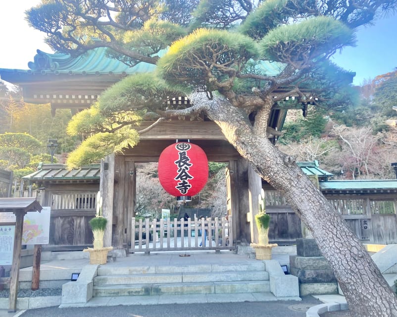 Kamakura: Half day Walking tour & Japanese sweets - Hase-dera’s gardens, sea views, and cave