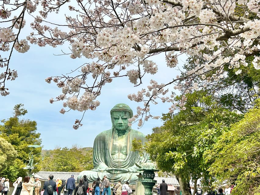 Kamakura: Half day Walking tour & Japanese sweets - Narrow lanes and local shopping
