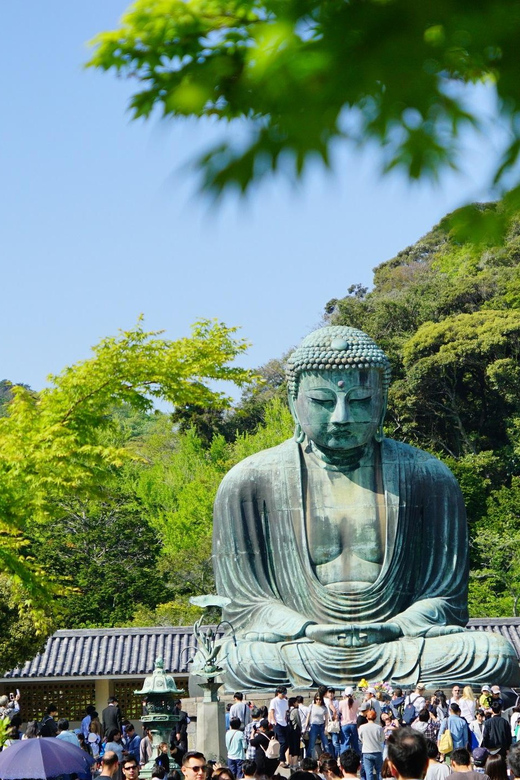 Kamakura Half Day Walking Tour with Local Experience - Hasedera, Kamakura’s temple of flowers