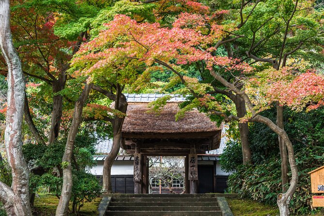Kamakura Historical and Cultural Day Trip with Local Cuisine - Hasedera, flowers and a sea-facing temple