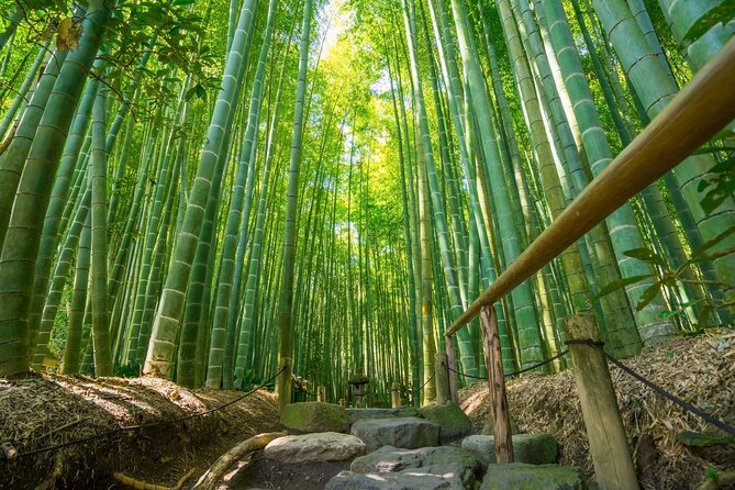 Kamakura Historical and Cultural Day Trip with Local Cuisine