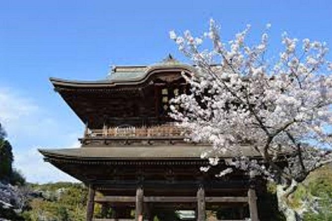 Kamakura Private Custom Tour - Why a private day works well in Kamakura