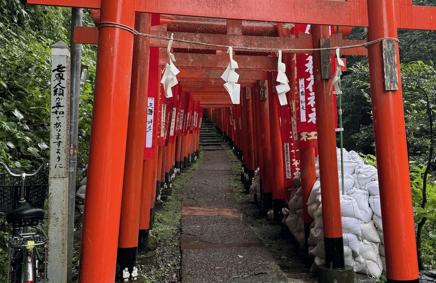 Kamakura Private Custom Tour with Local Guide - What the $122 price really covers