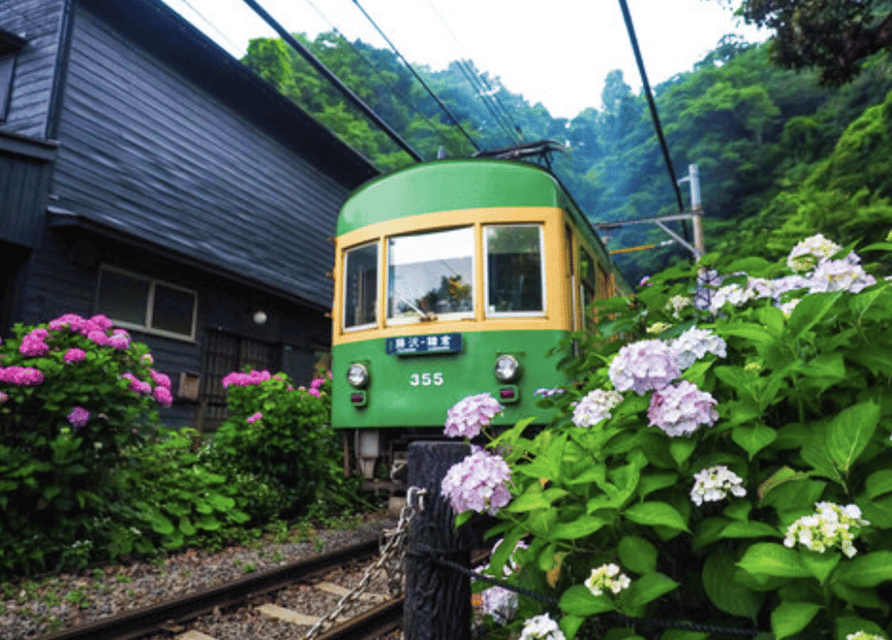 Kamakura Private Custom Tour with Local Guide - Who will enjoy this tour most