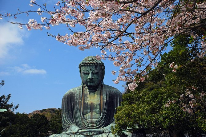 Kamakura Private Custom Tour - Tsurugaoka Hachimangu and Kamakura’s political past